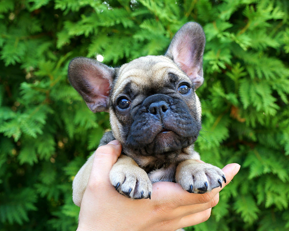 10904000_10153530940988115_6805869872579576429_o