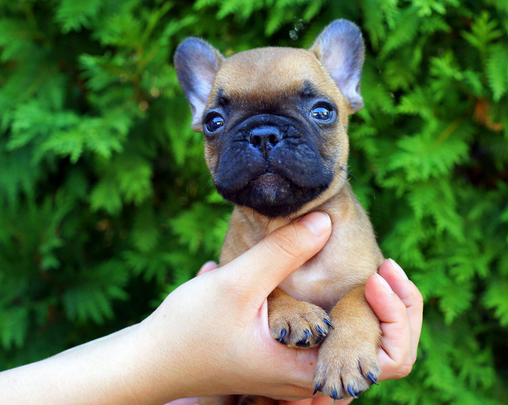 11218190_10153530934053115_5785203461831521498_o