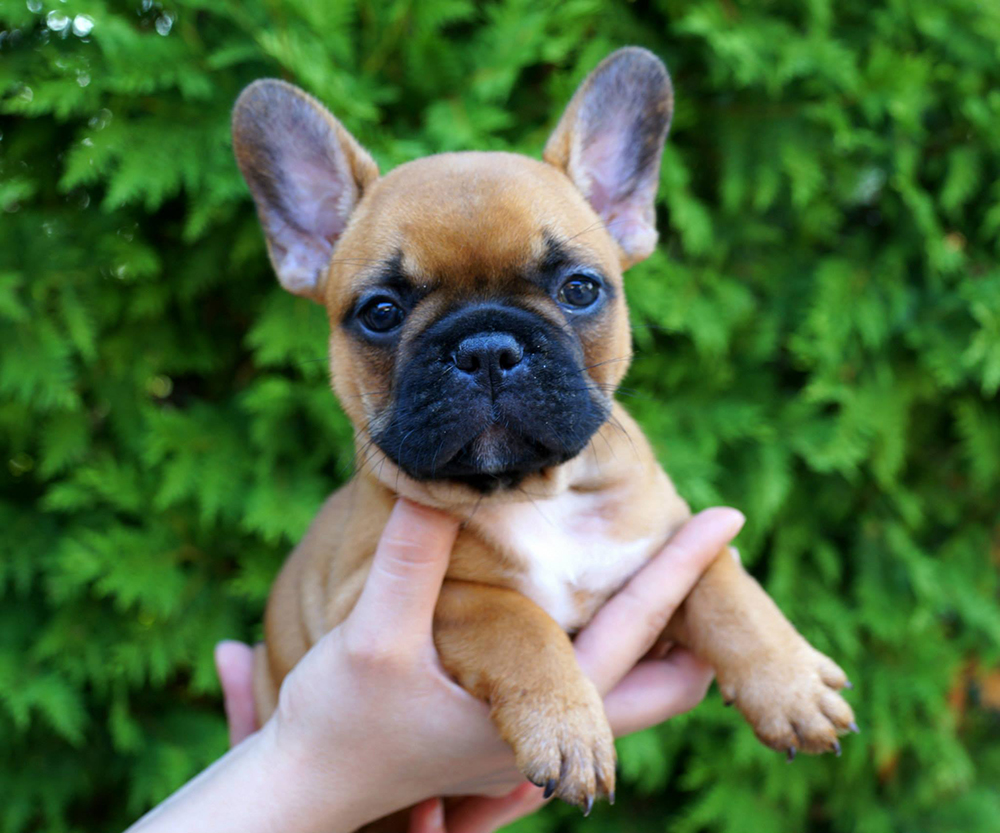 11222086_10153522292918115_2652225105927799895_o