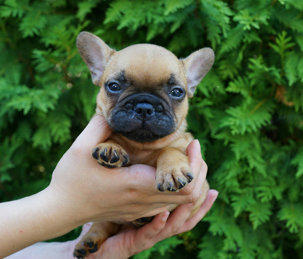 11224786_10153530934048115_77840454127363964_o