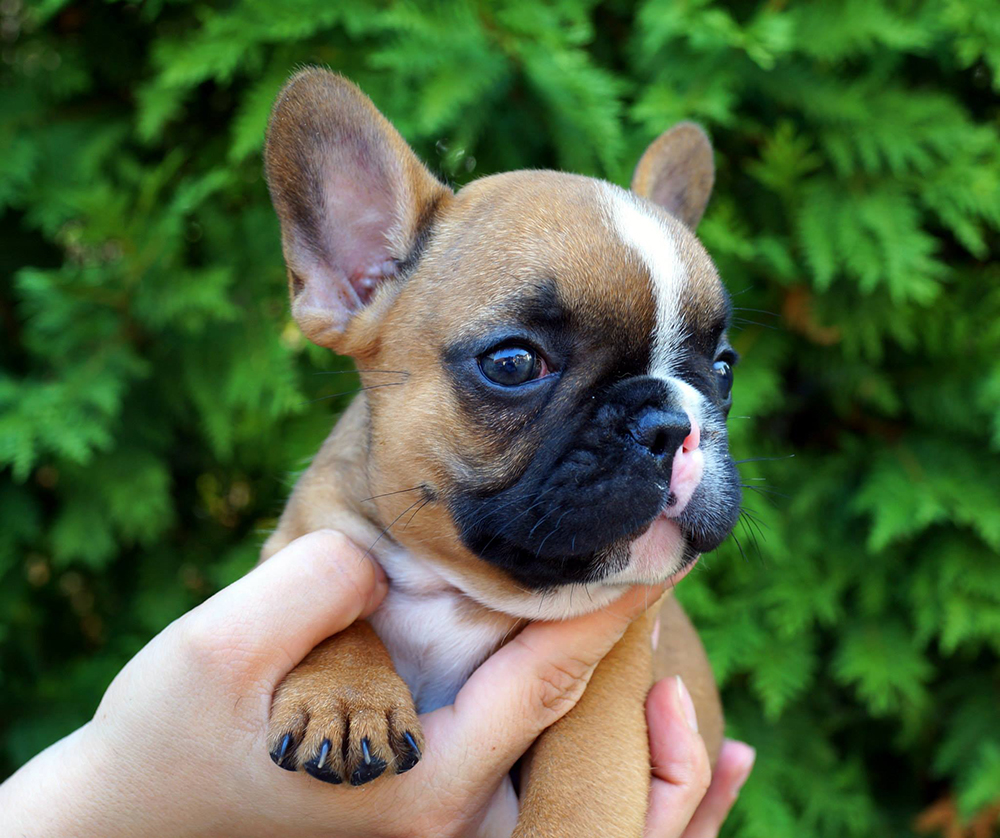 11703253_10153526056778115_3596247375186194094_o