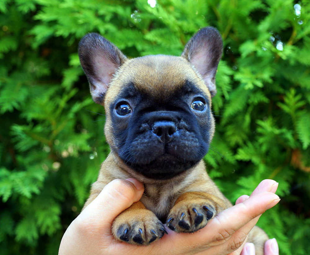 11722639_10153522317433115_5102108364305279785_o