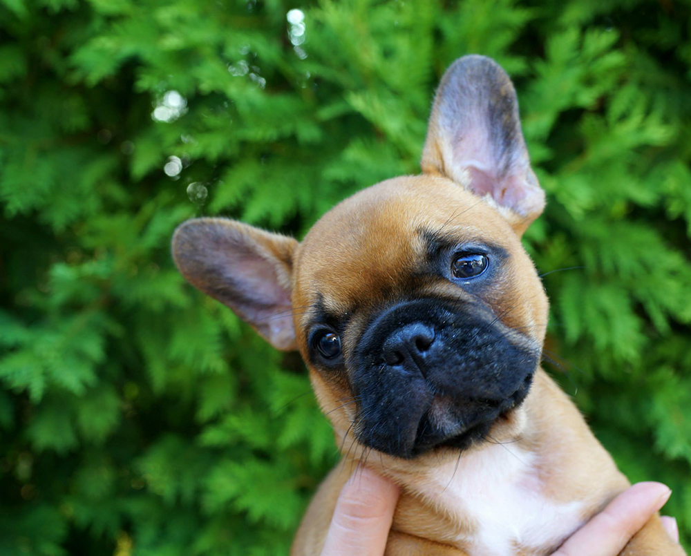 11728698_10153524507128115_2044450324094102983_o