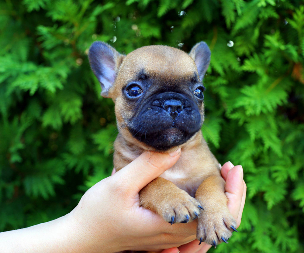 11754290_10153528011588115_9028709657983223538_o